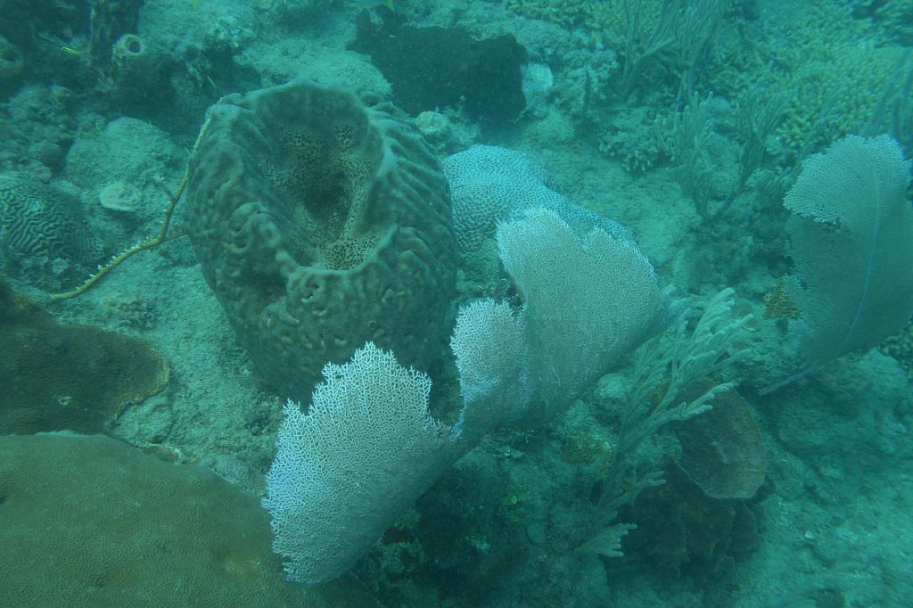 2008-05-17 17-15-23 H.JPG